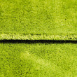 FX PROTECT ΠΕΤΣΕΤΑ ΜΙΚΡΟΪΝΩΝ GRASSY GREEN BOA