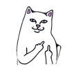 RIPNDIP CAT ΑΥΤΟΚΟΛΛΗΤΟ ΣΜΑΛΤΟΥ 