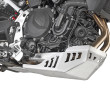 ΠΡΟΣΤΑΣΙΑ ΚΑΡΤΕΡ RP5145_ ΑΛΟΥΜΙΝΙΟ F 900 GS (2024) BMW  GIVI