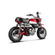 AKRAPOVIC ΕΞΑΤΜΙΣΗ HONDA MONKEY 125 19-26 OPEN