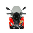 ΖΕΛΑΤΙΝΑ WRS APRILIA SR GT 125 / 200 22-23