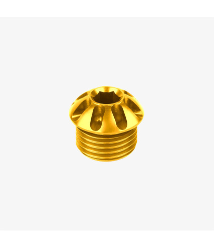 BONAMICI FOOTPEG CAP - PLASTIC GOLD COLOR
