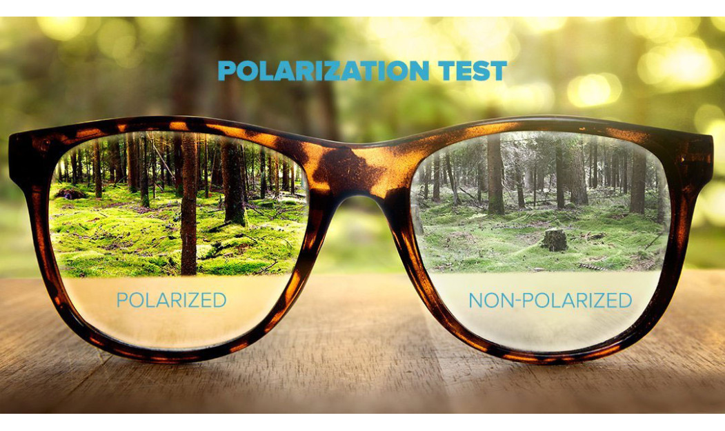 ΓΥΑΛΙΑ ΗΛΙΟΥ POLAREYE POLARIZED PTE2115