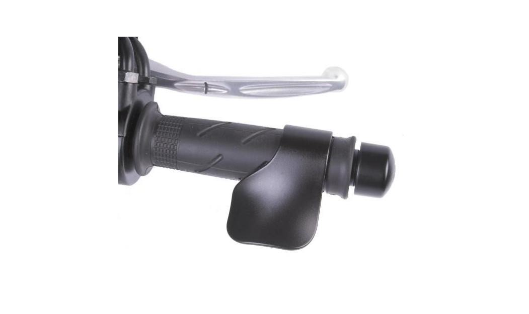 LAMPA MOTORCYCLE CRUISE CONTROL 
