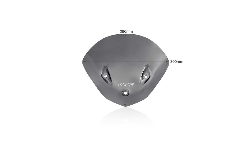 ΖΕΛΑΤΙΝΑ WRS  BMW S 1000 R 14-20