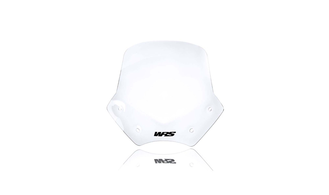 ΖΕΛΑΤΙΝΑ WRS BMW R 1200 R 06-14