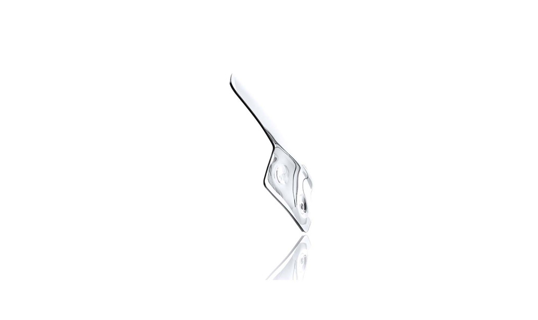 ΖΕΛΑΤΙΝΑ WRS BMW R 1200 R 06-14