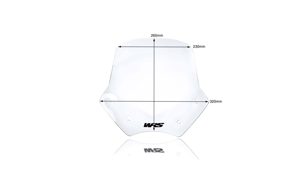 ΖΕΛΑΤΙΝΑ WRS BMW R 1200 R 06-14