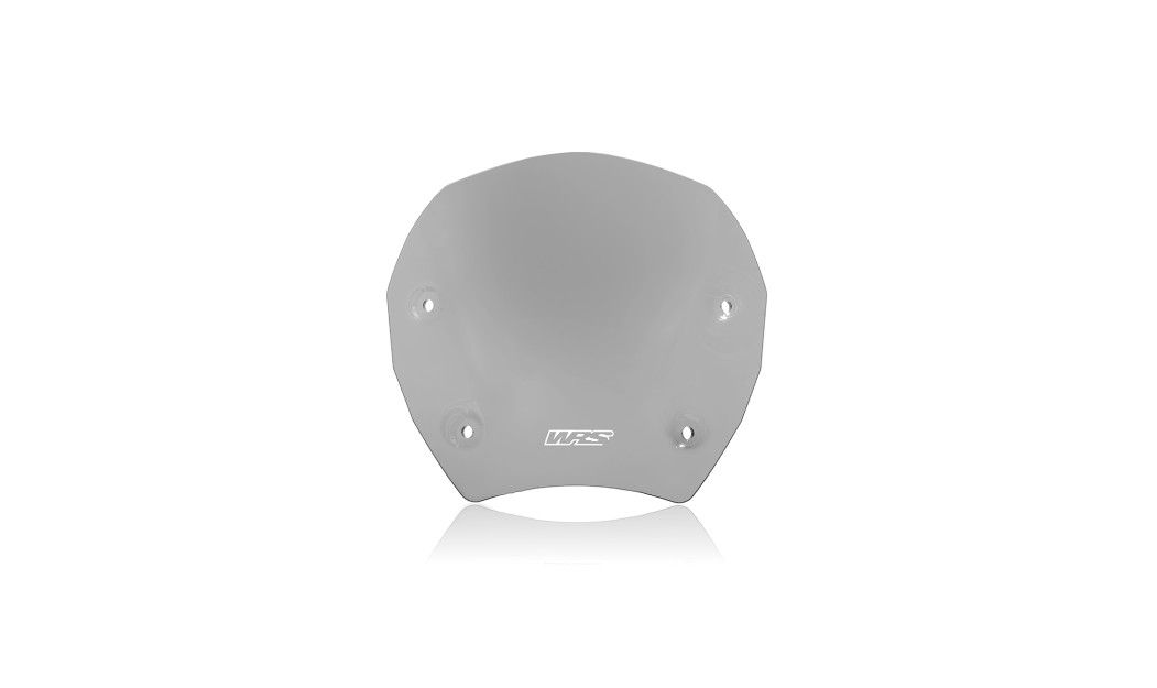 ΖΕΛΑΤΙΝΑ WRS BMW R 1300 GS 23-24 (WITH RADAR)