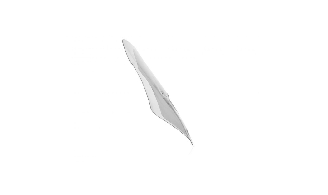 ΖΕΛΑΤΙΝΑ WRS DUCATI DUCATI MULTISTRADA V2 / S 2025