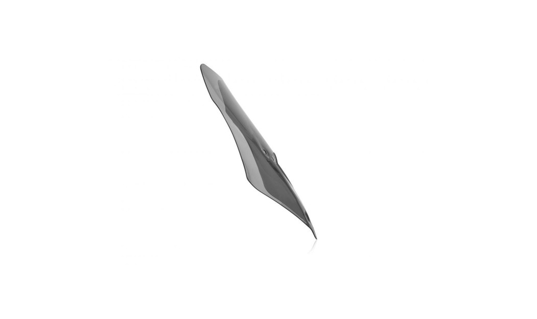 ΖΕΛΑΤΙΝΑ WRS DUCATI MULTISTRADA V2 / S 2025